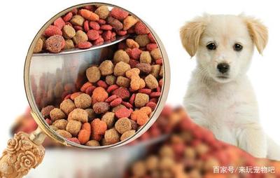 宠物食品公司如何科学确定宠物们的口味偏好