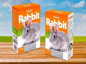 从功能到情感 现代宠物食品包装设计的美学与巧思