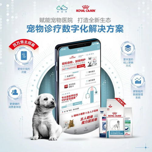皇家亮相北京宠物医师大会，四大看点解码宠物食品未来趋势
