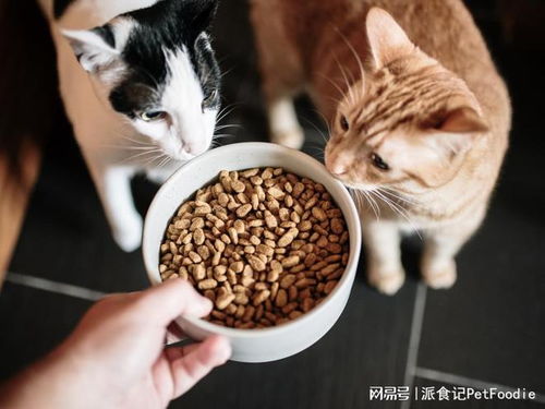 未来五年宠物食品包装市场 年复合增长率6.79%背后的机遇与挑战